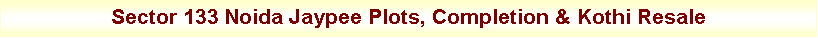 Text Box: Sector 133 Noida Jaypee Plots, Completion & Kothi Resale