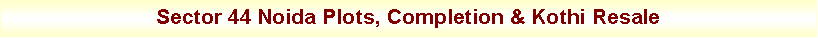 Text Box: Sector 44 Noida Plots, Completion & Kothi Resale
