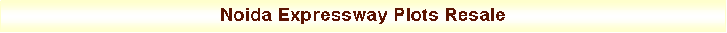 Text Box: Noida Expressway Plots Resale